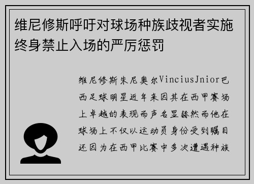 维尼修斯呼吁对球场种族歧视者实施终身禁止入场的严厉惩罚