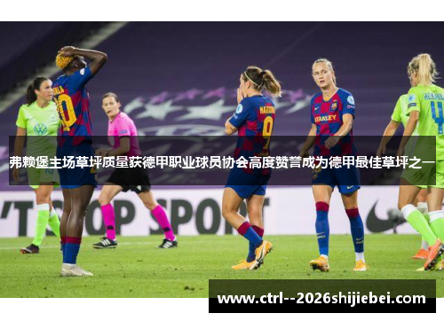 弗赖堡主场草坪质量获德甲职业球员协会高度赞誉成为德甲最佳草坪之一 弗赖堡主场草坪质量获德甲职业球员协会高度赞誉成为德甲最佳草坪之一
