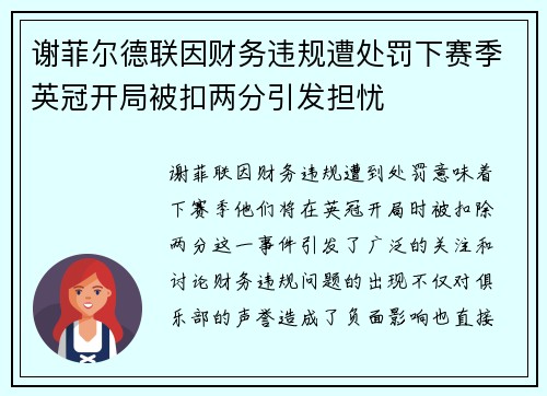 谢菲尔德联因财务违规遭处罚下赛季英冠开局被扣两分引发担忧
