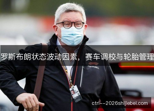 罗斯布朗状态波动因素，赛车调校与轮胎管理